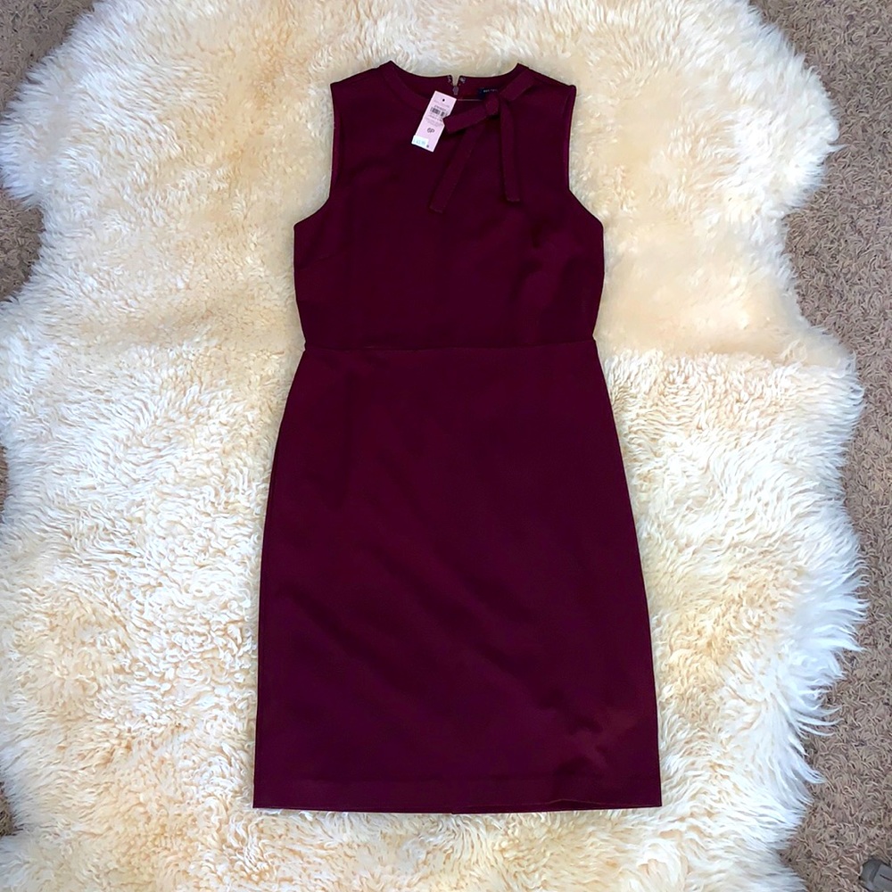 Ann Taylor Dress